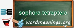 WordMeaning blackboard for sophora tetraptera